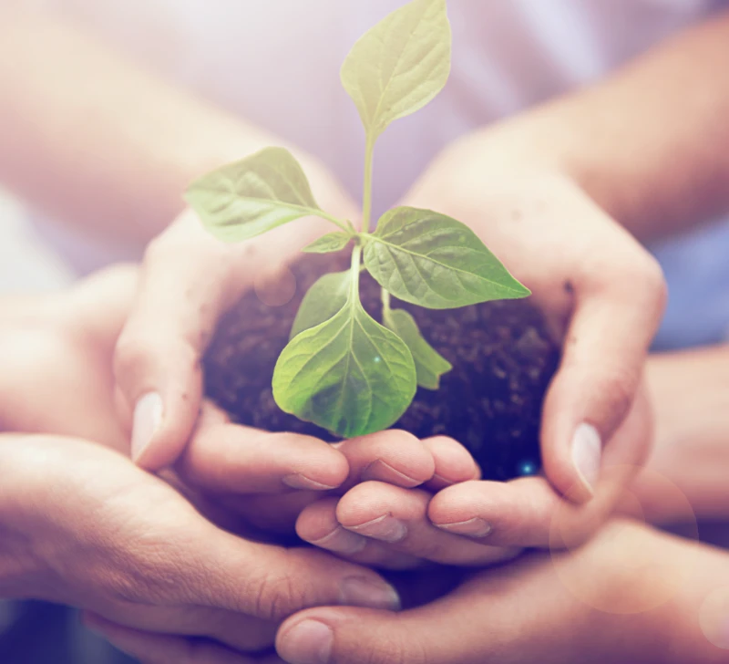 التبرع العام لصندوق العائلة يهدف إلى دعم المبادرات والبرامج التي تخدم أبنا العائلة وتعزز تكافلهايسهم عطاؤكم في تحقيق الاستدامة وبنا مستقبل أفضل للجميعبتبرعكم يستمر الخير ويكبر الأثر